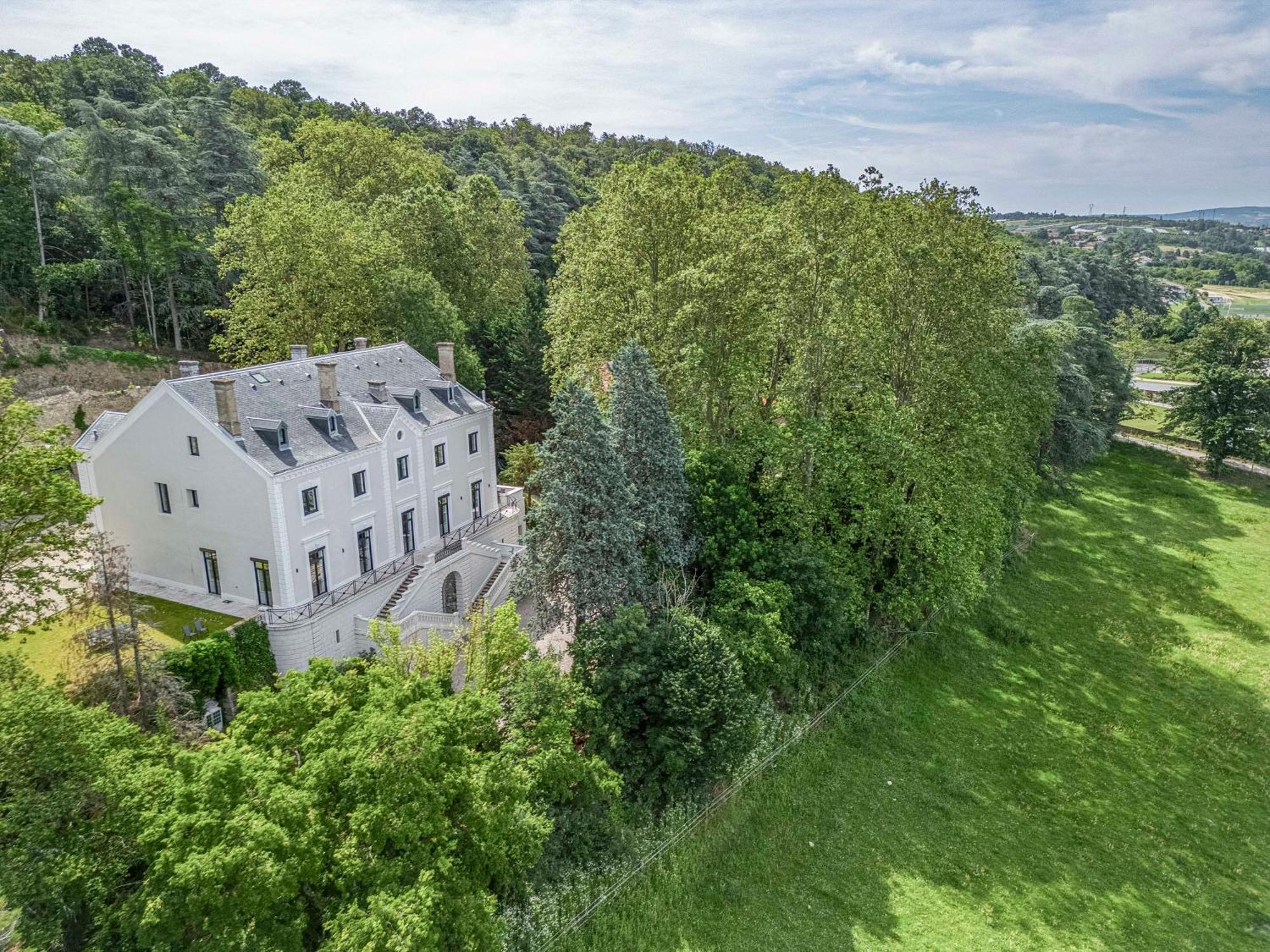 1 - Grand Appartement Spacieux Dans Un Chateau Du 17Eme Siecle, A 15Min De Lyon Vourles Exterior foto